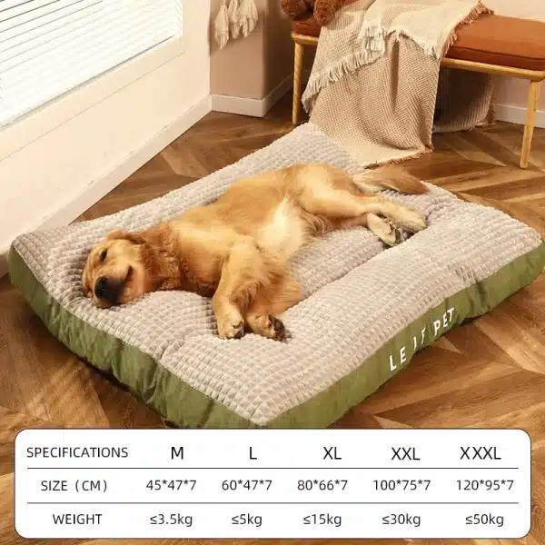 AuNuvem- Cama Ultra Confortavel - Image 3