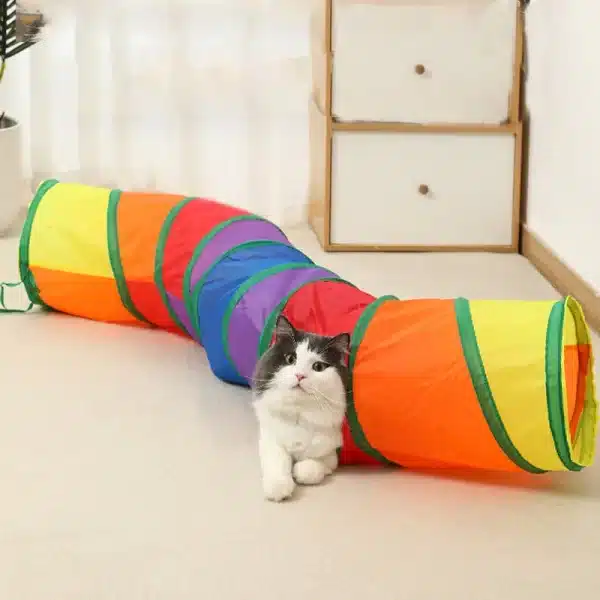 Tunel Dobrável para Gato - Image 2