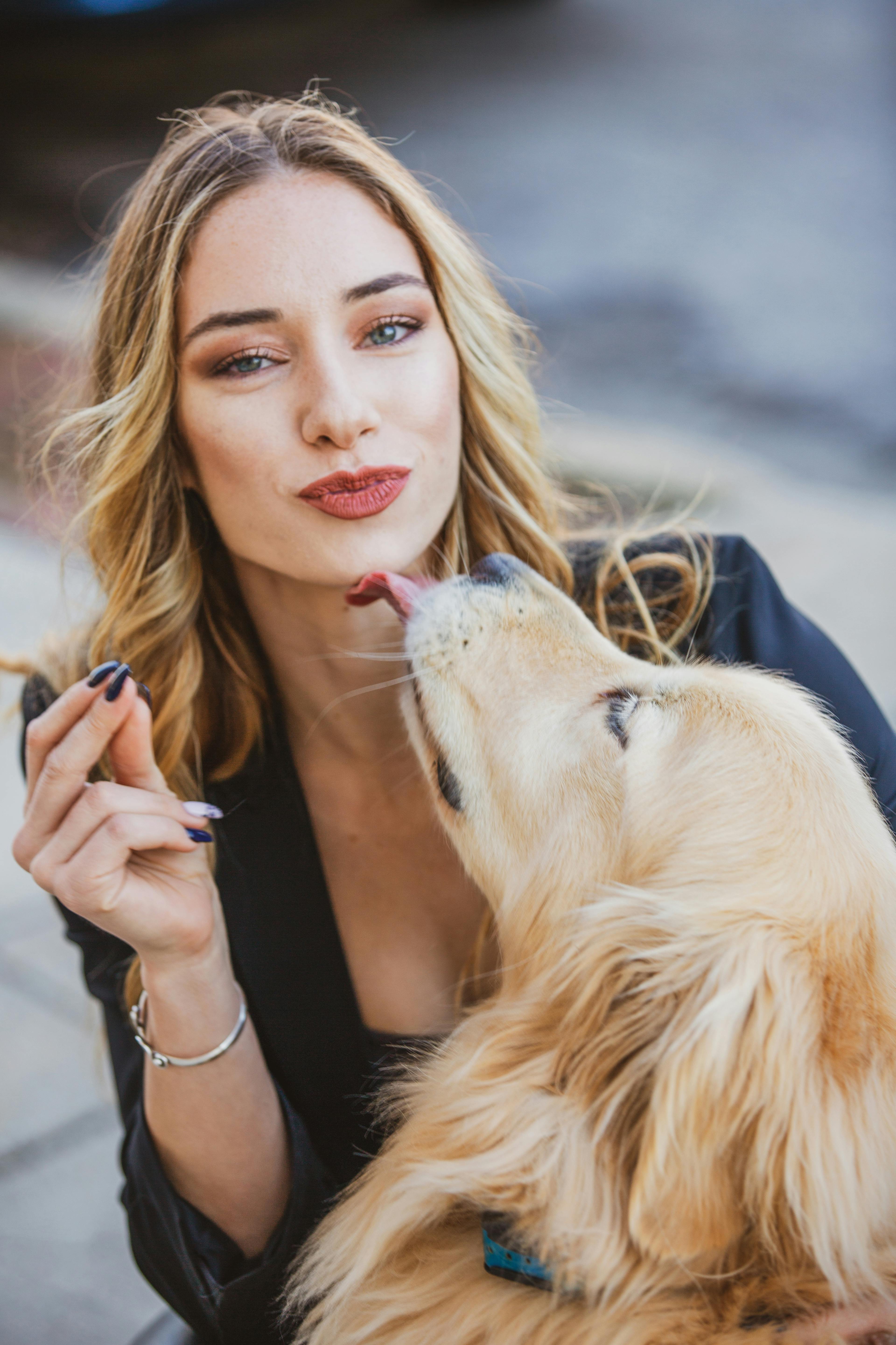 Por Que Seu Cachorro Lambe Tanto? A Ciência Explica